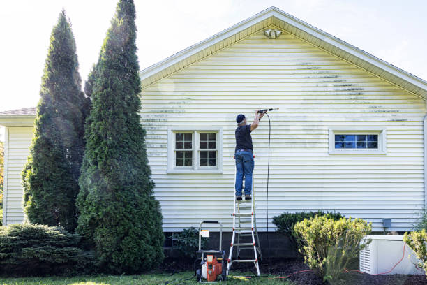 Professional Pressure Washing Services in Elsa, TX